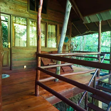 Jungle Face Inn Ella Exterior photo