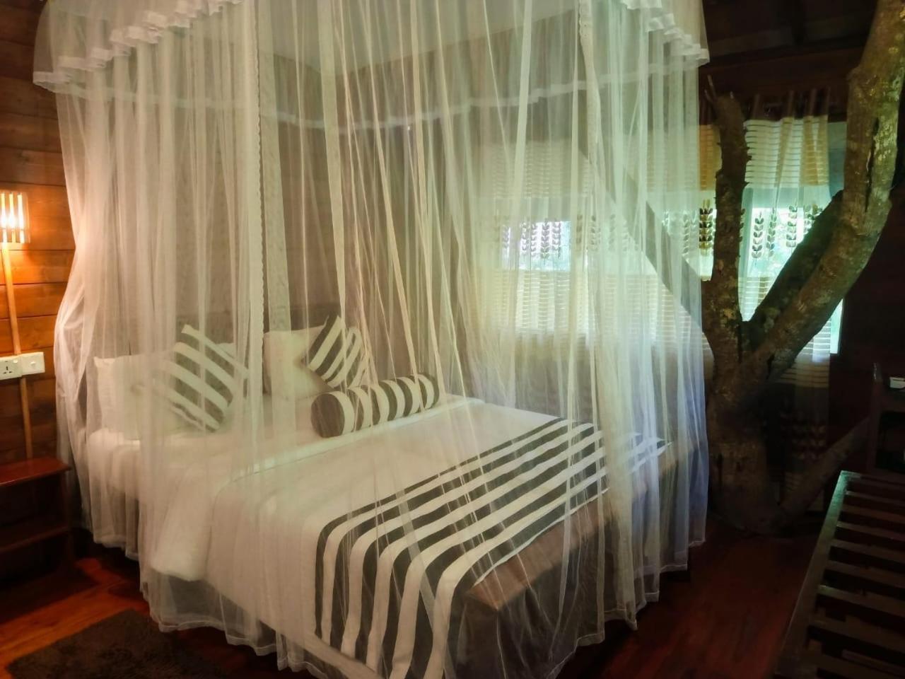 Bed & Breakfast Jungle Face *